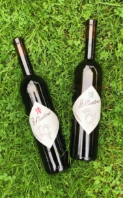St. Martinus Wine Tasting Flights Château Neercanne